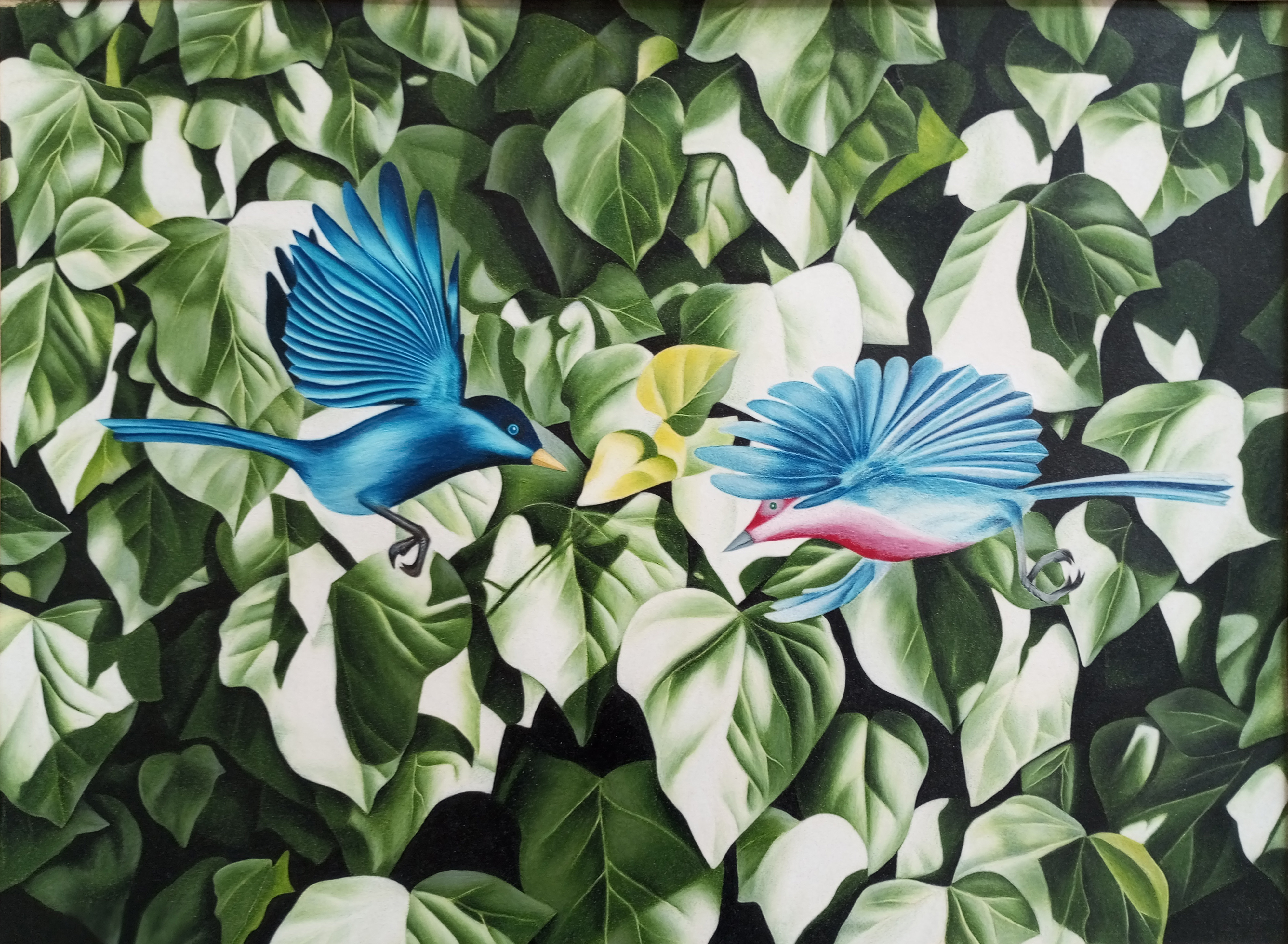 Voegel von Johannes Asmus