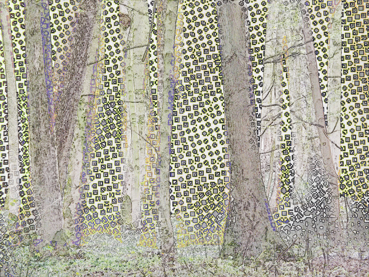 Grafik Wald von Johannes Asmus