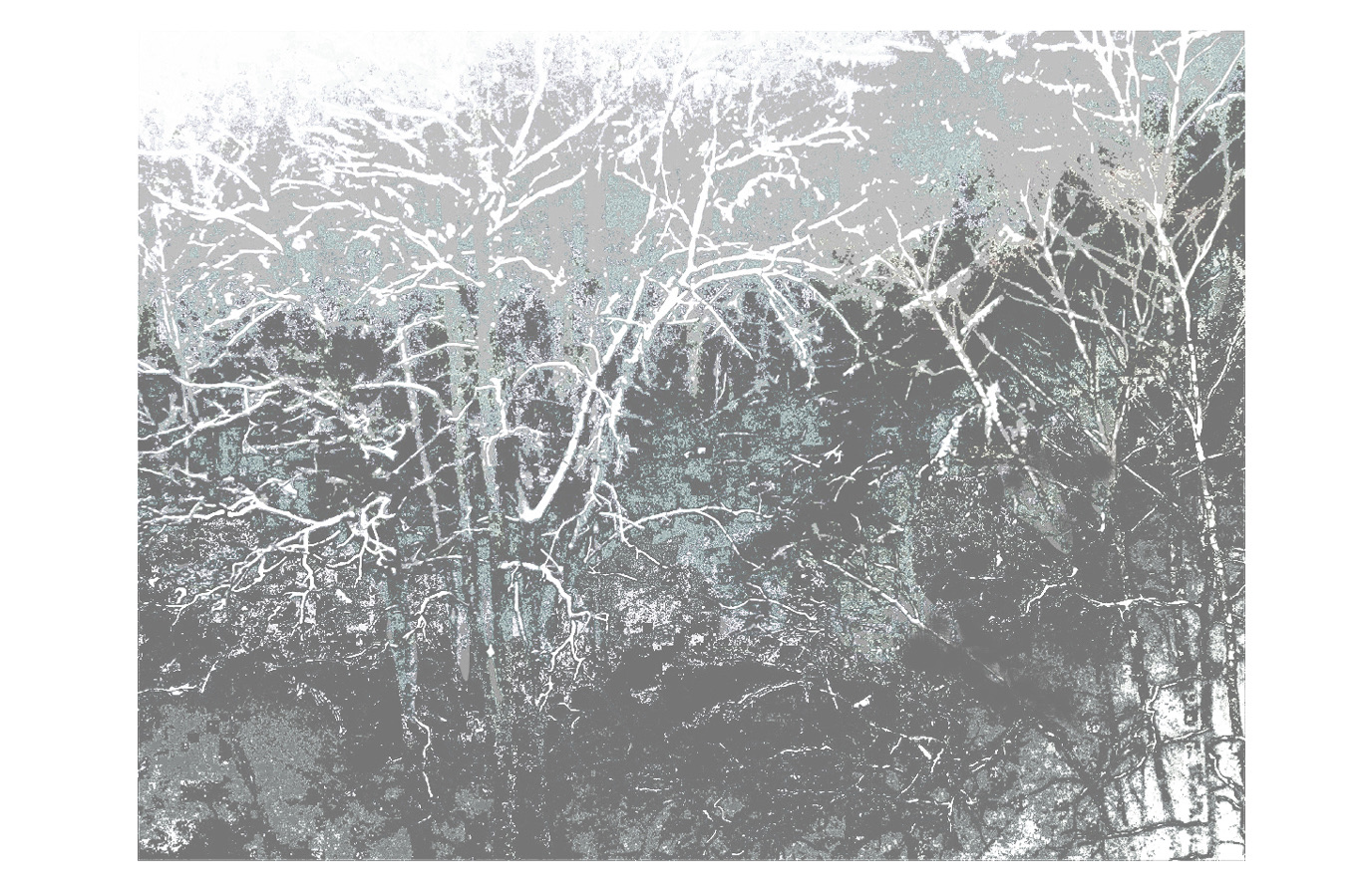 Siebdruck Studie von Johannes Asmus