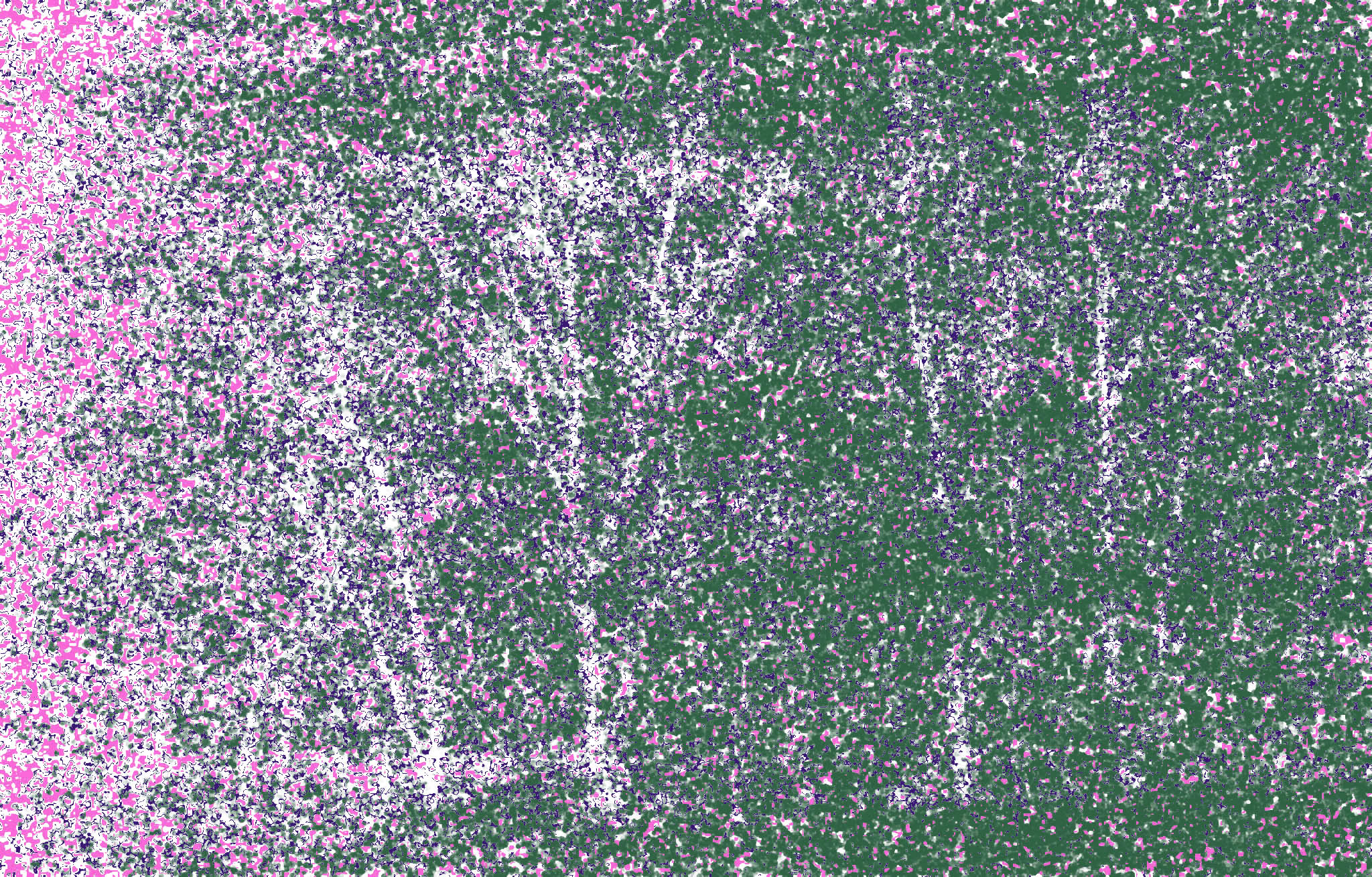Siebdruck Studie von Johannes Asmus